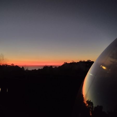 Burbujasbalbuena, Interpretacion De La Via Lactea ซานบิเซนเต เด โอโกรเว ภายนอก รูปภาพ